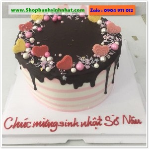 Bánh Sinh Nhật Socola - S456